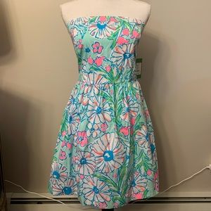 NWT Lilly Pulitzer Chandie Dress